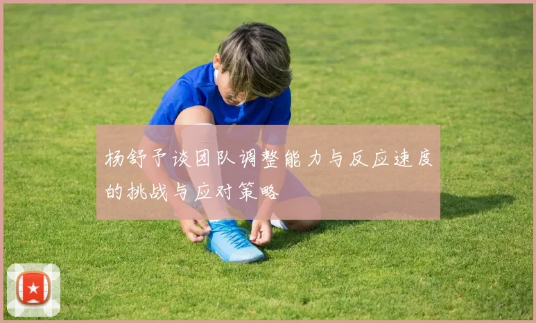 杨舒予谈团队调整能力与反应速度的挑战与应对策略