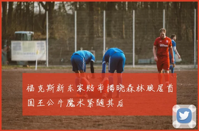 福克斯新东家赔率揭晓森林狼居首国王公牛魔术紧随其后