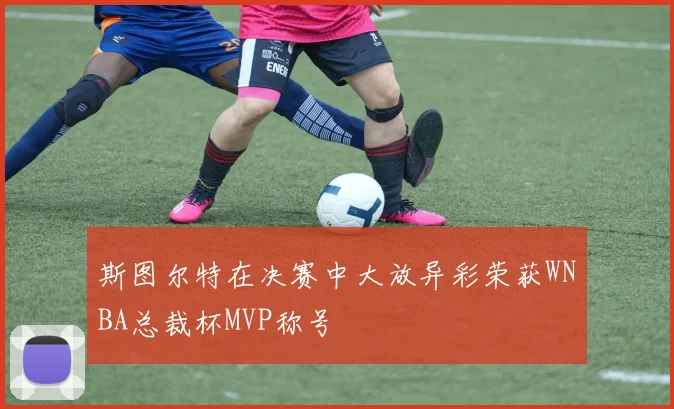 斯图尔特在决赛中大放异彩荣获WNBA总裁杯MVP称号
